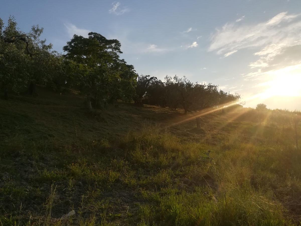 فيلا Atessaفي Agriturismo La Ruelle المظهر الخارجي الصورة