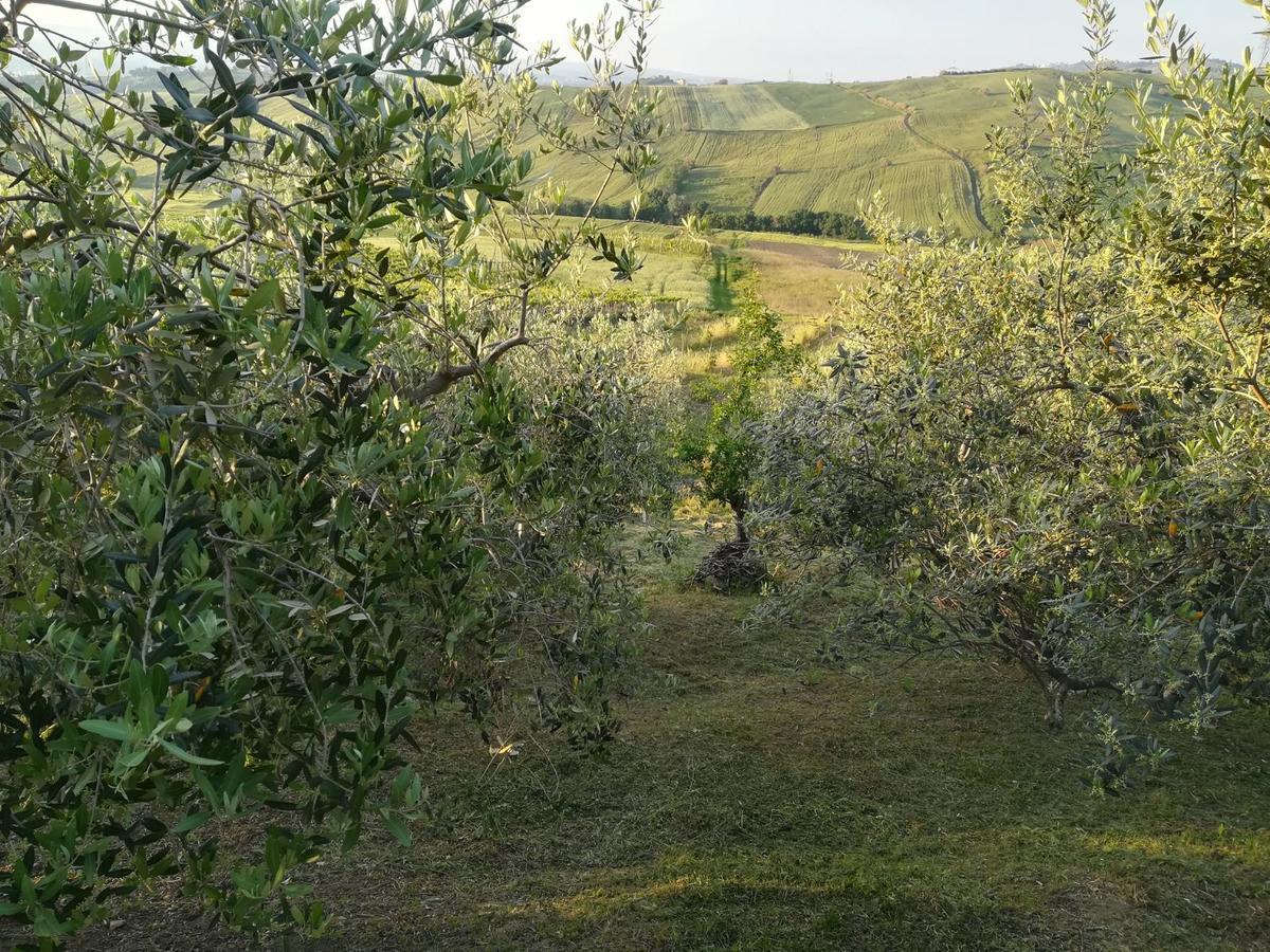 فيلا Atessaفي Agriturismo La Ruelle المظهر الخارجي الصورة